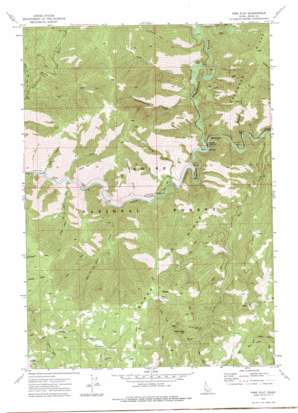 Pine Flat topo map