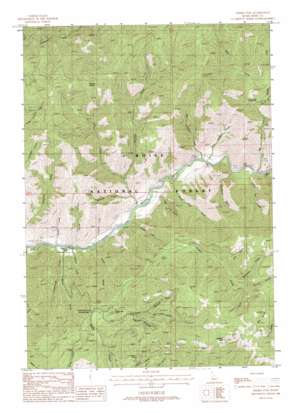 Grimes Pass USGS topographic map 44115a7