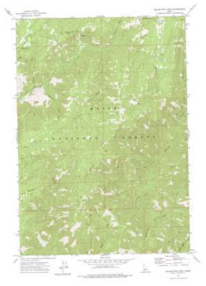 Miller Mountain East USGS topographic map 44115b4