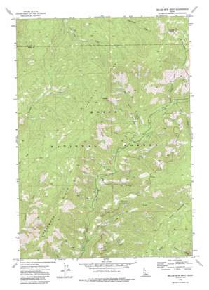 Miller Mountain West USGS topographic map 44115b5