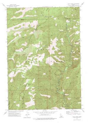 Scott Creek USGS topographic map 44115b6