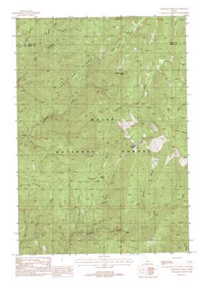 Lightning Ridge USGS topographic map 44115b7