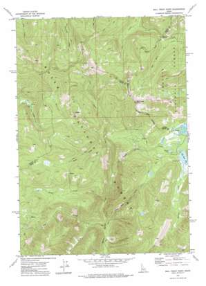Bull Trout Point topo map