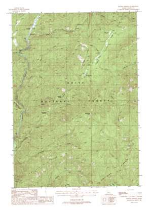 Boiling Springs topo map