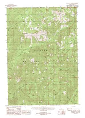 Wild Buck Peak USGS topographic map 44115d6
