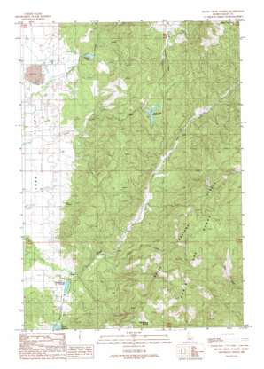 Skunk Creek Summit USGS topographic map 44115d8