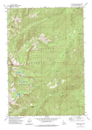 Fitsum Peak topo map