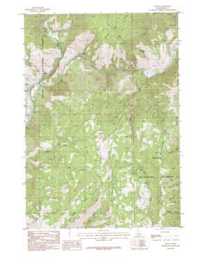 Weiser USGS topographic map 44116a1