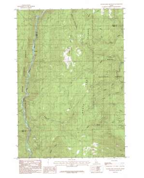 Packer John Mountain USGS topographic map 44116b1