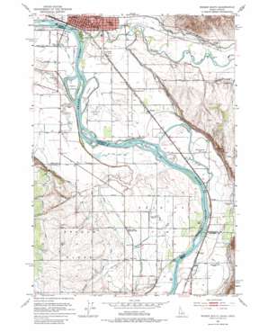 Weiser South USGS topographic map 44116b8