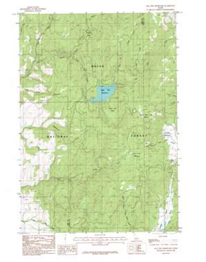 Sage Hen Reservoir USGS topographic map 44116c2