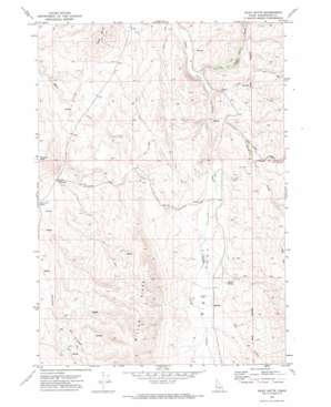 Riley Butte USGS topographic map 44116c4