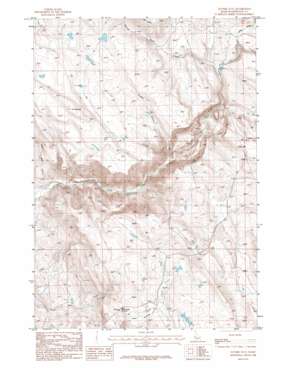 Nutmeg Flat USGS topographic map 44116c6