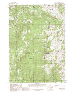 Tripod Peak USGS topographic map 44116d2