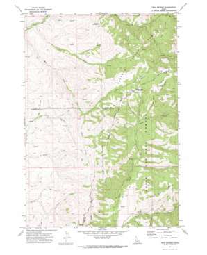 Twin Sisters topo map