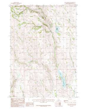 Mann Creek NW USGS topographic map 44116d8