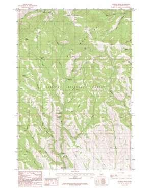 Sturgill Peak USGS topographic map 44116e8