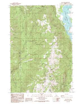 Lone Tree USGS topographic map 44116f2