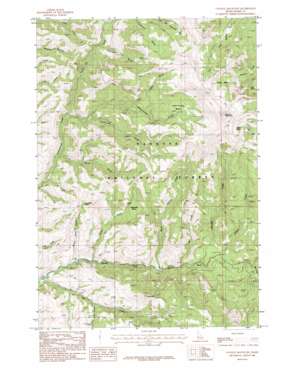 Council Mountain USGS topographic map 44116f3