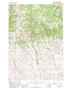 Rush Peak USGS topographic map 44116f6