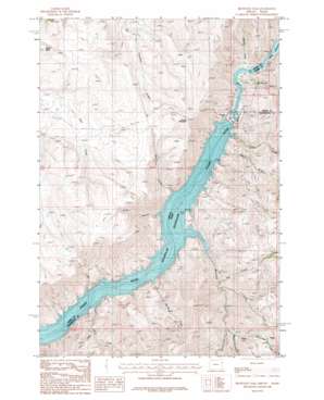 Brownlee Dam topo map