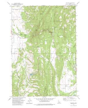 Meadows USGS topographic map 44116h2