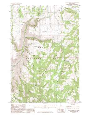 Rocky Comfort Flat USGS topographic map 44116h6