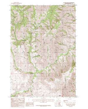 McLain Gulch USGS topographic map 44116h8