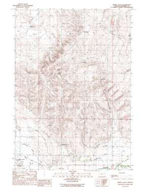 Henry Gulch USGS topographic map 44117a2
