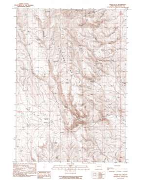 Swede Flat topo map