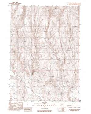Buckbrush Creek USGS topographic map 44117a6