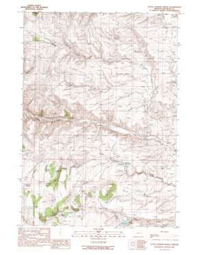 Little Juniper Spring USGS topographic map 44117a8