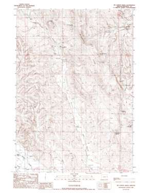 McCarthy Ridge USGS topographic map 44117b3