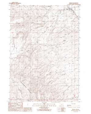 Brogan USGS topographic map 44117b5