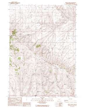 Brady Creek USGS topographic map 44117b6