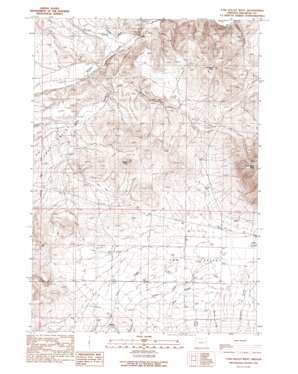 Cow Valley West topo map