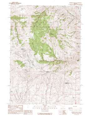 Mormon Basin topo map