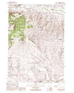 Wendt Butte topo map