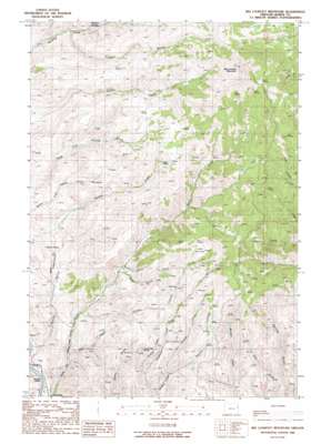 Big Lookout Mountain topo map