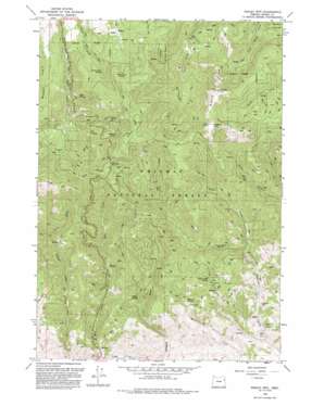 Dooley Mountain USGS topographic map 44117e7