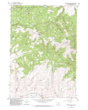 Brannan Gulch USGS topographic map 44117e8