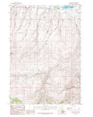 Daly Creek USGS topographic map 44117f2