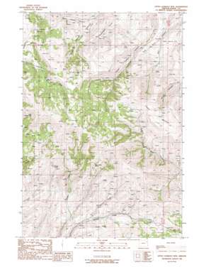 Little Lookout Mountain topo map