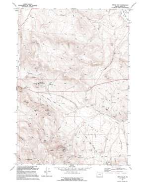 Virtue Flat USGS topographic map 44117g6