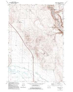 Magpie Peak USGS topographic map 44117h7
