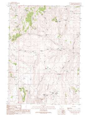 Canyon City USGS topographic map 44118a1