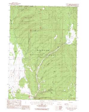 Logan Valley East topo map
