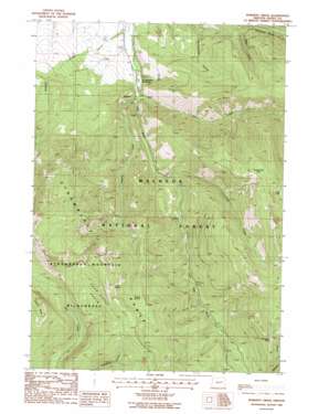 Roberts Creek topo map