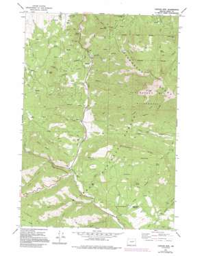 Canyon Mountain USGS topographic map 44118c8