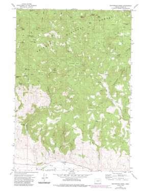 Beaverdam Creek USGS topographic map 44118e1